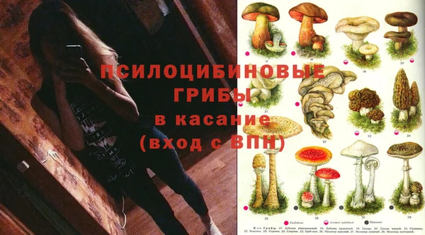 а пвп мука Остров