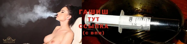 дживик Щигры