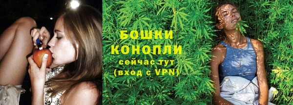 кокс Кропоткин
