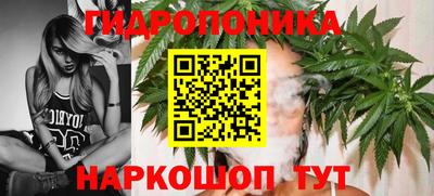 гидропоника Краснознаменск