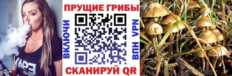 Галлюциногенные грибы ЛСД  Новоуральск 