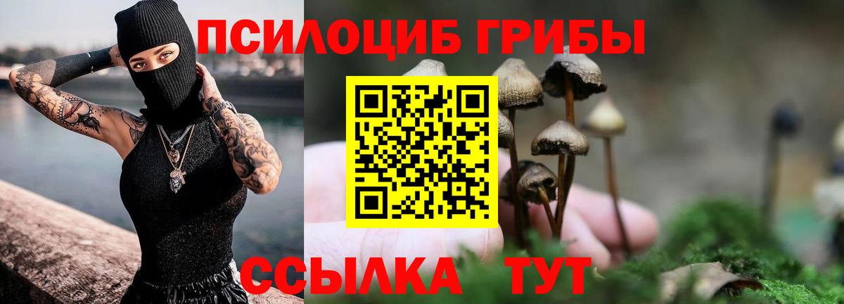 Новоуральск  Галлюциногенные грибы мицелий  наркотики  Вход с VPN 